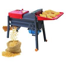 Maize