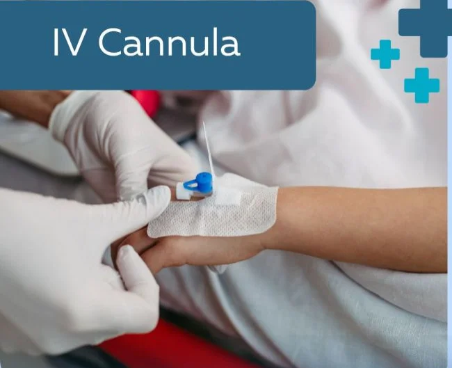 IV Cannula