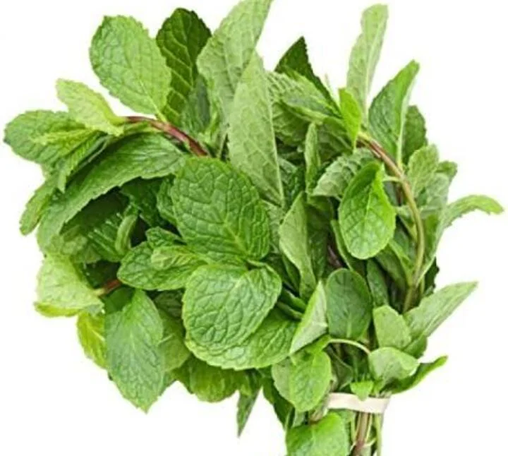 Mint