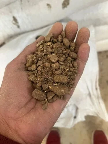 Cummin seed