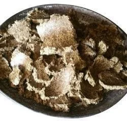 Borage Seed Oil