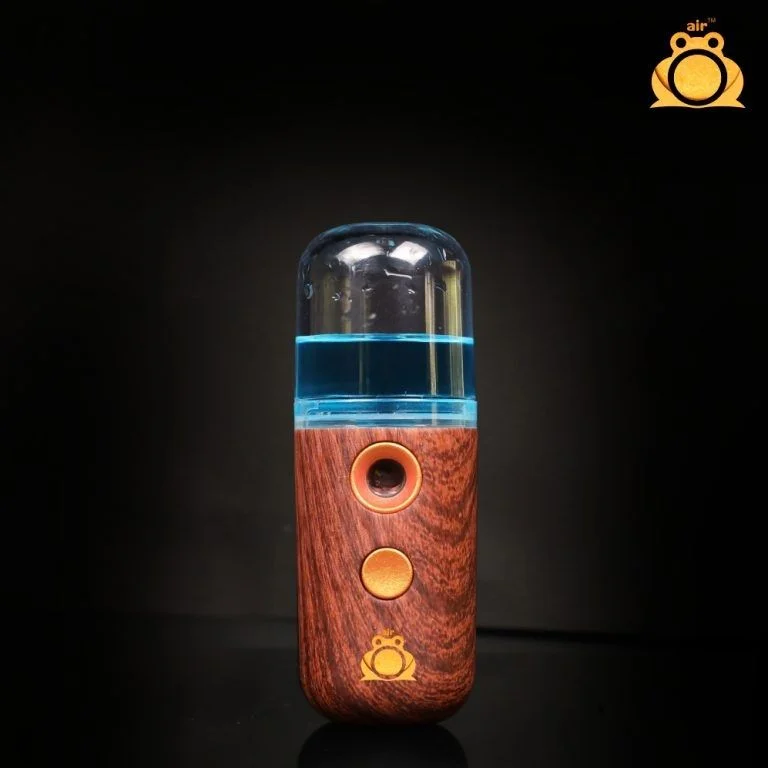 Backpack Electric Sprayer