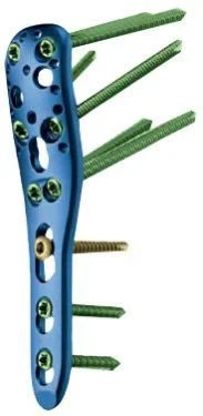 Medical Caster with Plate Type