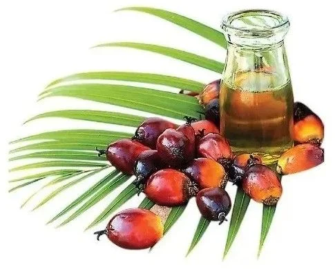 Palm Olein