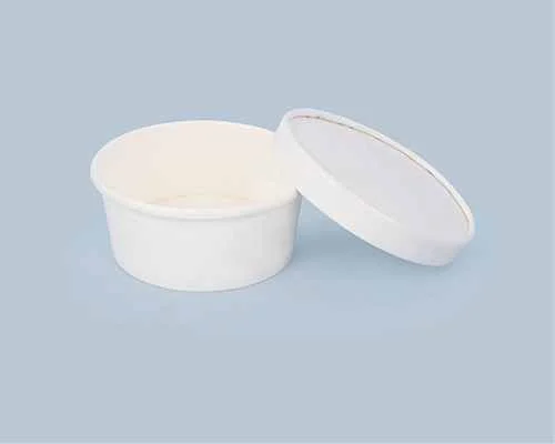 Sugarcane Bagasse Container