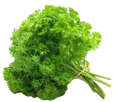 Onion
