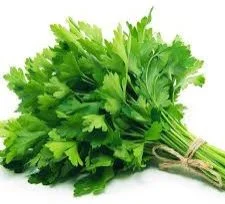 Onion
