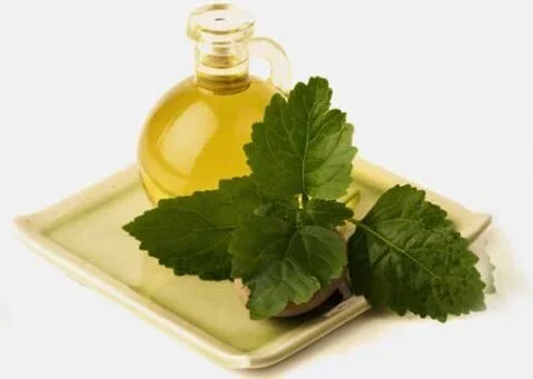 Patchouli Oil