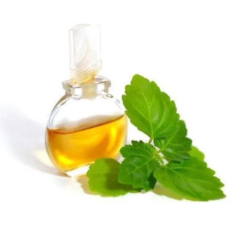 Chamomile German Oil