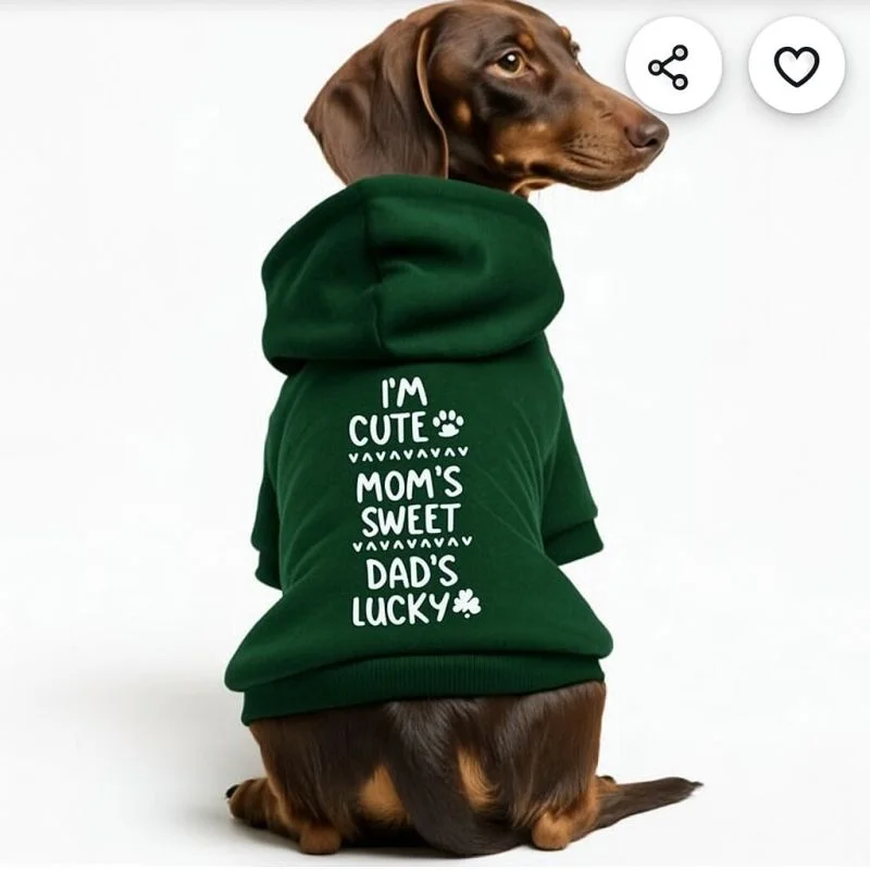 Pet clothes