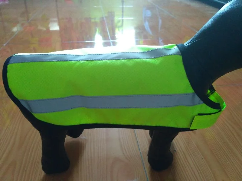 Polyethylene Terephthalate (PET)