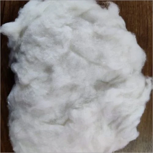 Organic Apple  Fibre