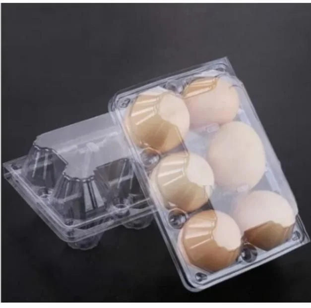 Quail Bird Eggs