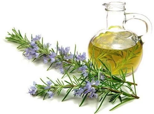cold pressed olive oil