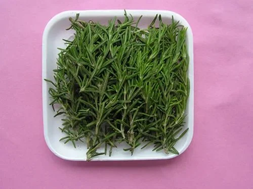 Rosemary