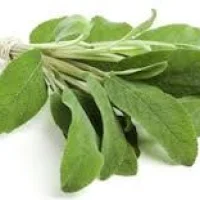 Sage