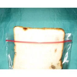 Sandwich packing bags