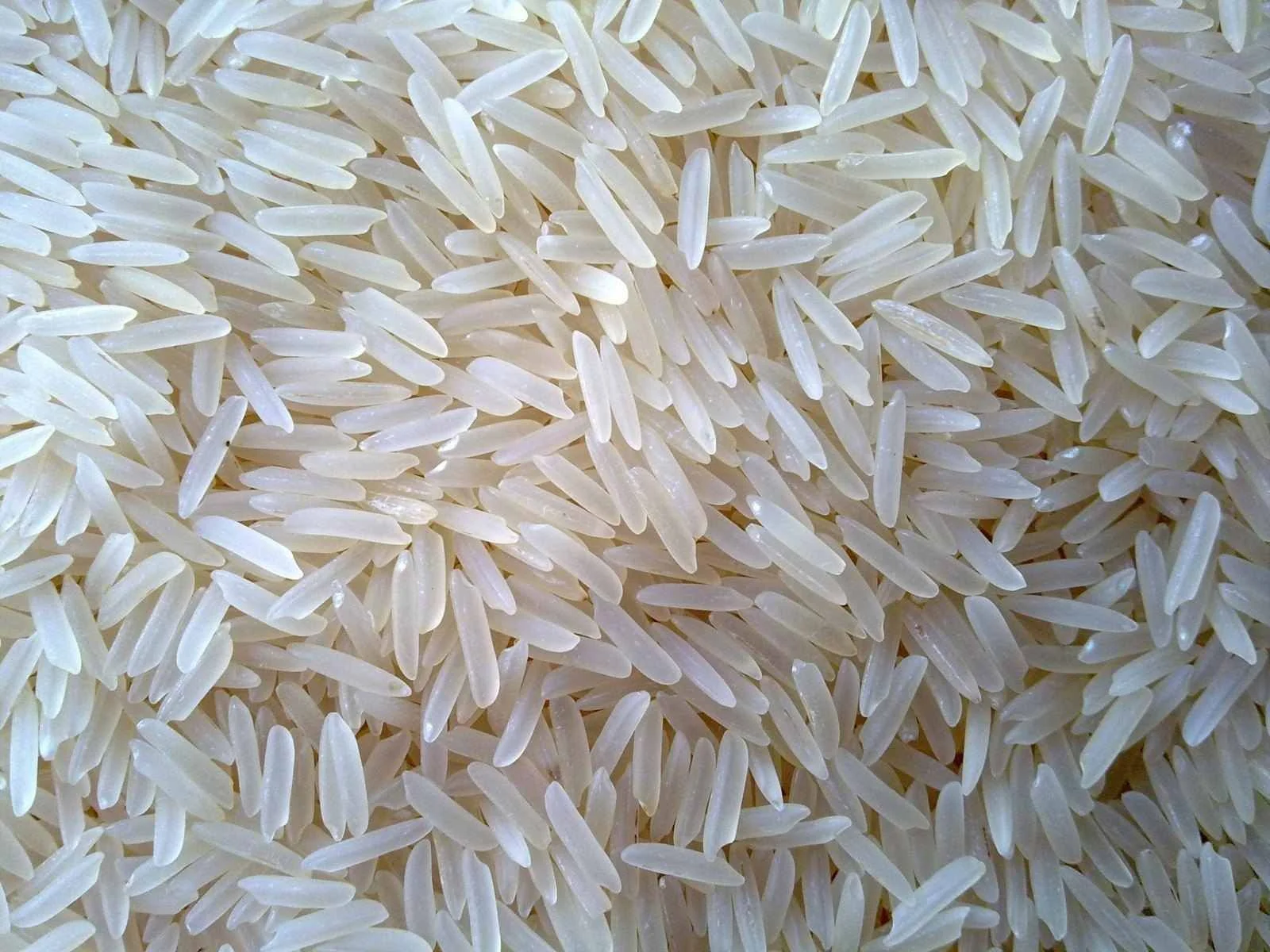 Bengal gram, desi chickpeas