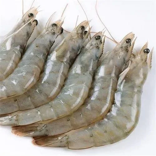 Vanamei Shrimp