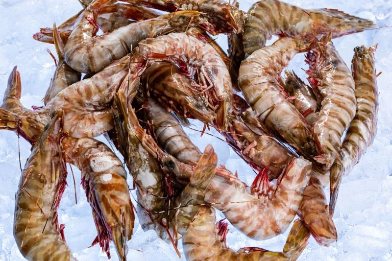 Black Tiger Shrimp