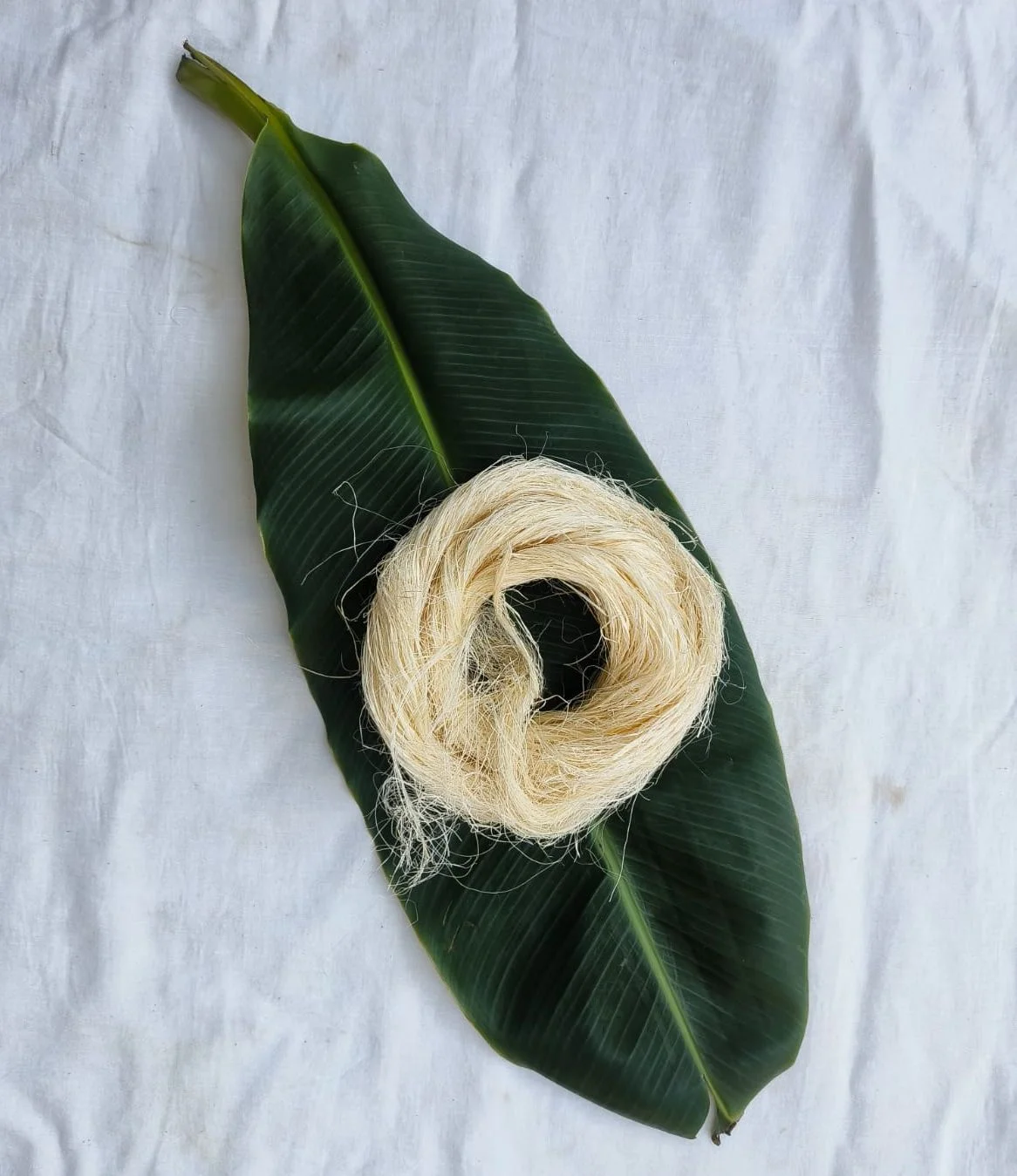 Arenga Fiber