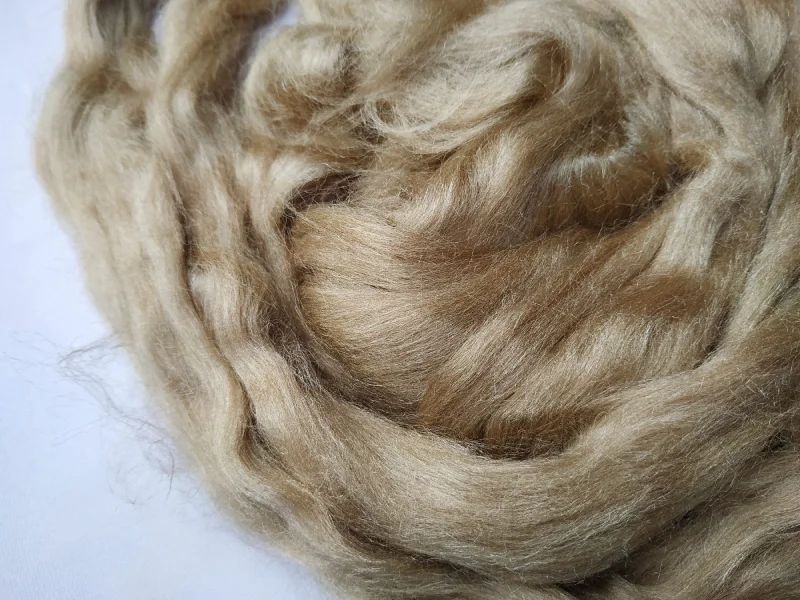 Coconut Fiber