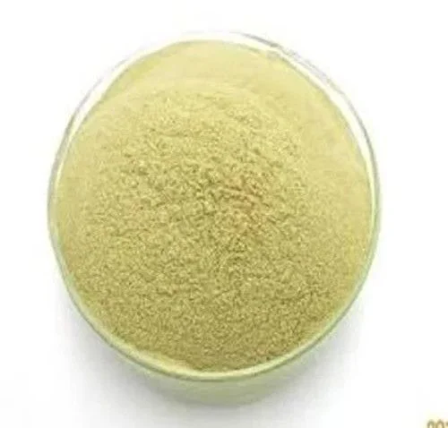 Mushleaf Apple Cider 20 Effervescent Tablets - ACV Infused with Mother for Weight Loss and Digestive Ease, Enriched with Vitamin B6 & B12, 100% Vegan Pack of 1