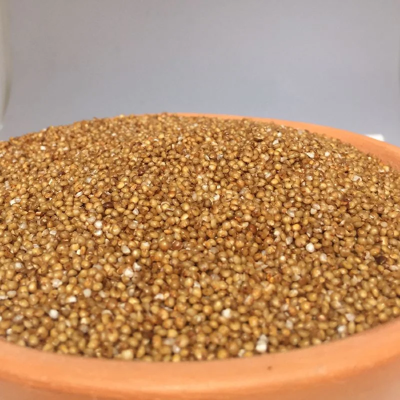 Sorghum