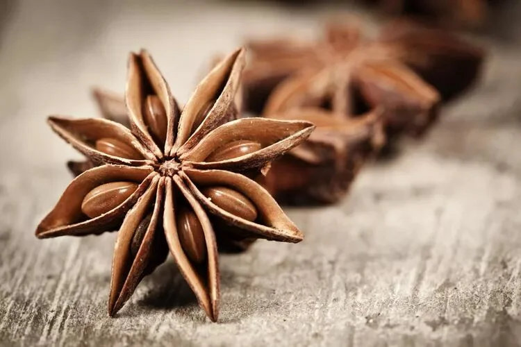 Anise Seed