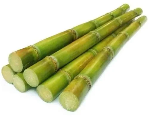 Frozen Sugarcane