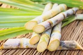 Sugarcane Powder