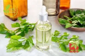Apricot Carrier Oil