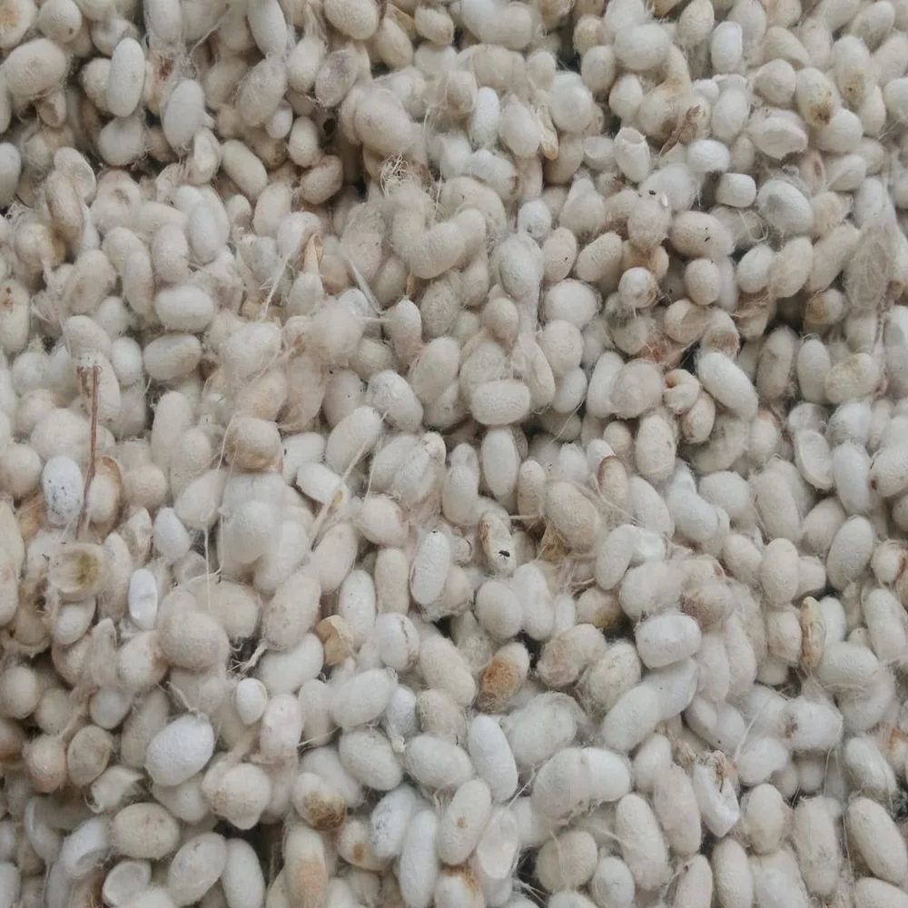 Pharmaceutical Industry Raw Materials, Pharmaceutical Raw Material, Raw Material for Medicine Manufacturing