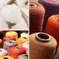 Indian Raw Cotton Shankar-6