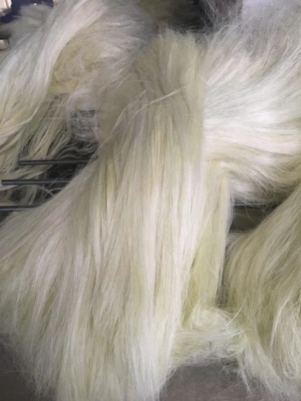 Fabric