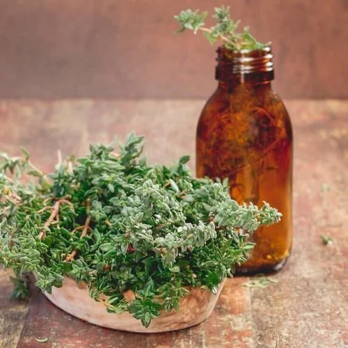 Turmeric Root Essencial Oil