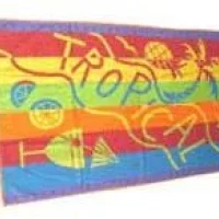 PRINTED  TOWELS