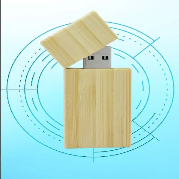 Recording flash drive