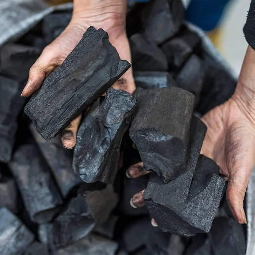 Briquette and charcoal