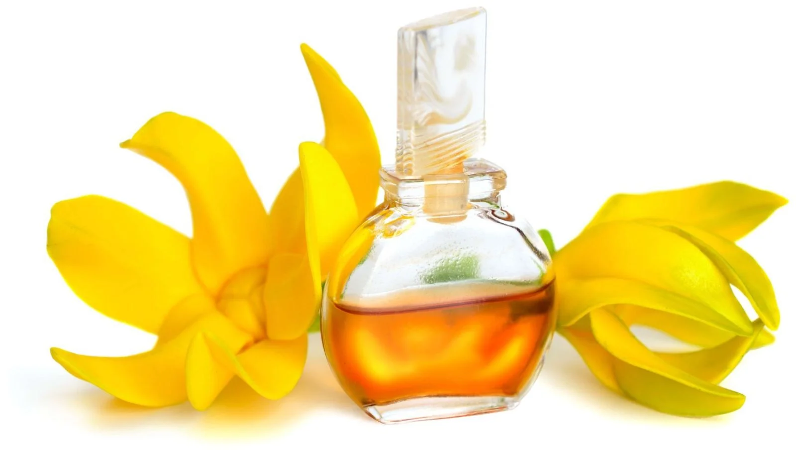 Ylang-Ylang Essencial Oil