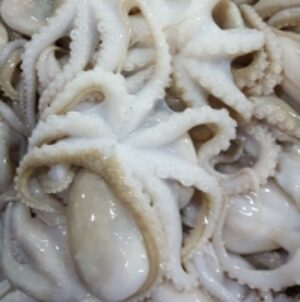 Frozen Octopus All Sizes Sale