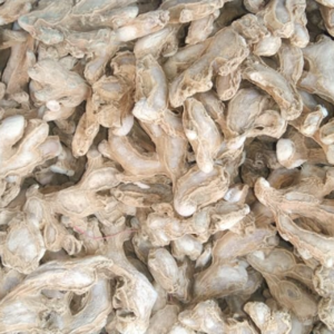 Dried Ginger