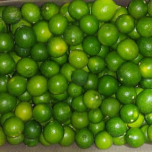 Fresh Lemons