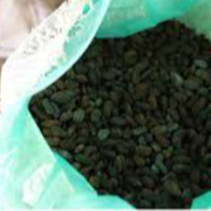 Cacao Beans - Origin: Santander - Colombia