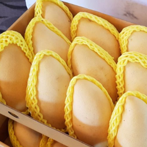 Nam Dok Mai Si Thong (Golden) Mango