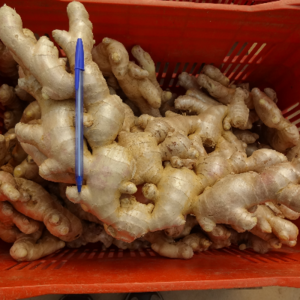 Dehydrated Ginger