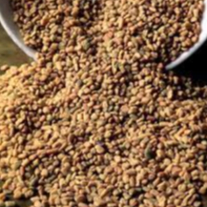 Fenugreek