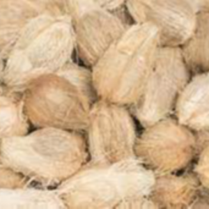 SEMI HUSK COCONUT