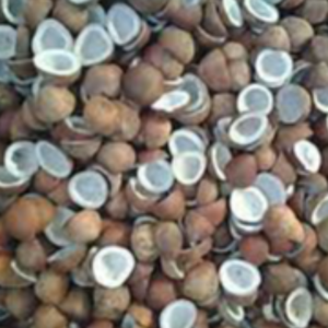 DRY COCONUT TWO HALVES