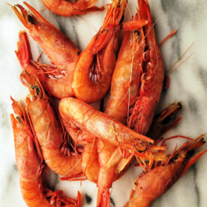 Red Shrimps